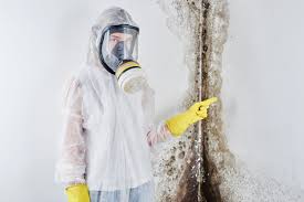 Mold Odor Removal Services in Winters, CA